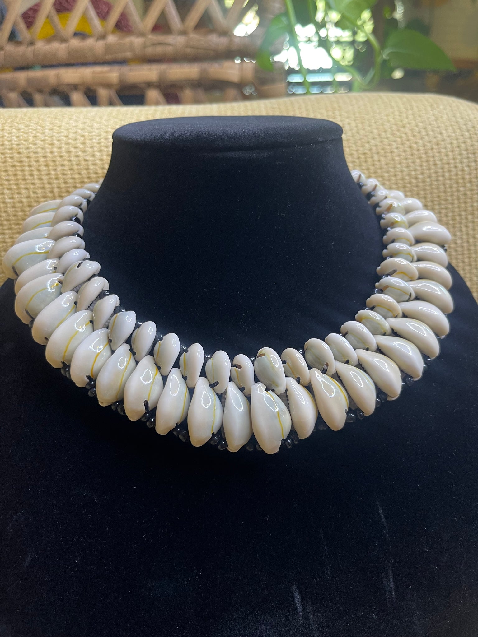 Cowrie Accessories