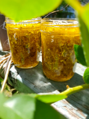 Oshun Sugar Scrub - 16 oz